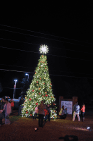 Christmas tree lighting